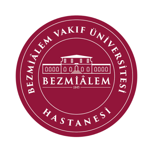 Bezm-İ Âlem Vakıf Üniversitesi logosu
